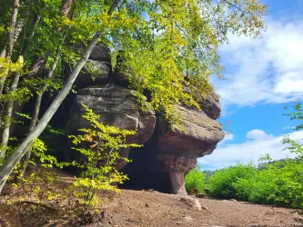Schweinefelsen Schweinefelsen