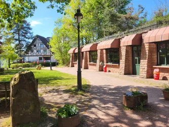 Eine ruhiger Weg mit Bäumen und einem Fachwerk-Gebäude mit Turm-Anbau. Es gibt gemütliche Grünflächen und einen Laternenpfahl im Bild.