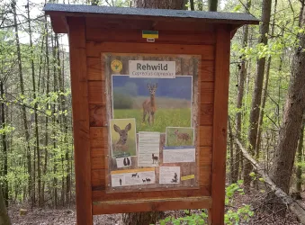 Infotafel Rehwild