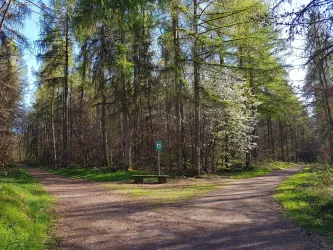 Themenweg Frauen in der Südwestpfalz