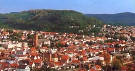 Blick Rodalben (© Archiv Leistungsträger)