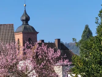 Ein schöner Kirchturm mit einer spitzen, schwarzen Kuppel. Im Vordergrund blühen pinke Blumen vor einem klaren blauen Himmel.