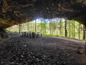 Ein schattiger Bereich unter einem Felsen mit Holztischen. Im Hintergrund sind Bäume und viel grünes Licht sichtbar.