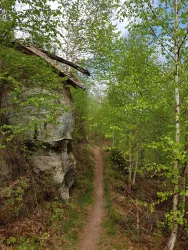 Felsenwanderweg an den Hettersbachfelsen
