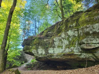 Eine beeindruckende Felsformation im Wald mit grünen Moosen und hohem, dichtem Laub. Der Weg führt sanft vorbei an der natürlichen Schönheit der Umgebung.