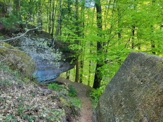 Ein schmaler Weg führt durch einen grünen Wald mit dichten Bäumen und großen Steinen. Die frische, lebendige Natur strahlt Ruhe und Harmonie aus.