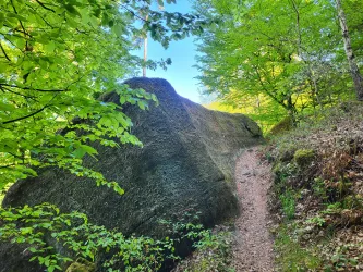 Ein großer Fels in einem Wald, umgeben von grünen Bäumen. Der schmale Pfad führt an dem Fels vorbei.