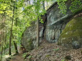 Ein steiniger Weg führt durch einen dichten Wald mit hohen Bäumen. Felsen und moosbedeckte Steine sind am Wegesrand sichtbar.