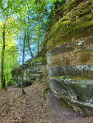 Ein malerischer Waldweg führt entlang einer moosbedeckten Steinformation. Die Bäume und das Sonnenlicht schaffen eine ruhige, natürliche Atmosphäre.