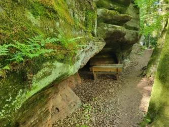 Ein ruhiger Waldweg mit moosbedeckten Felsen. Eine Sitzgruppe lädt zum Verweilen ein.