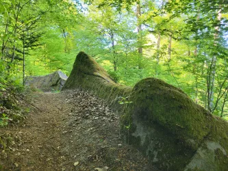Ein schmaler Weg führt durch einen grünen Wald. Große, moosbedeckte Felsen sind von üppigem Blattwerk umgeben.