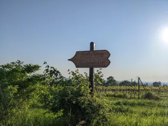 Wegweiser zur Aussicht