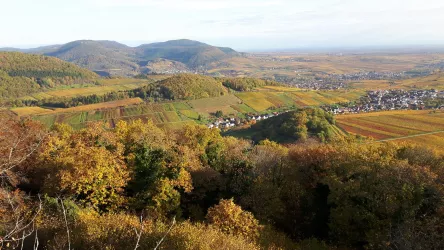 Blick auf den Ranschbacher Seligmacher im Herbst
