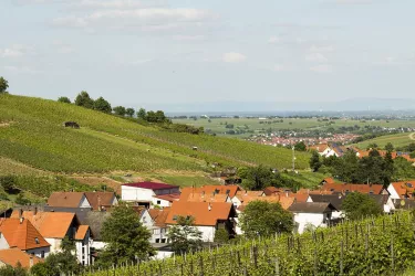 landschaft4