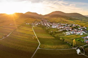 Luftbild Ranschbach Weinreben Pfälzerwald