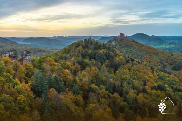 Pfälzerwald im Herbst