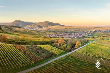 Luftbild Ranschbach Birkweiler