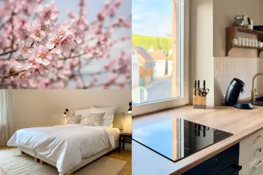 Ein helles Schlafzimmer mit einem großen Bett und sanften Textilien. In der Ecke befindet sich eine moderne Küche mit einem Kochfeld und Küchengeräten.