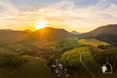 Luftbild Ranschbach Trifels