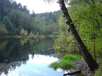 Ungeheuersee Weisenheim am Berg (© Urlaubsregion Freinsheim)