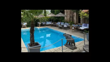 Café am Pool (© Cafe Solo)