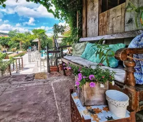 Blick in den Garten (© Cafe Solo)