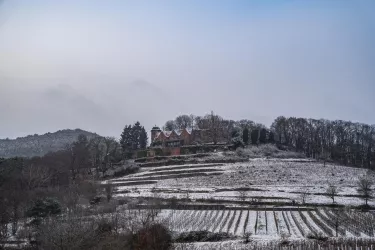 Ruine Kropsburg_Winter (© Tourist-Info)
