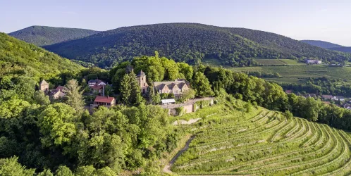 Ruine Kropsburg Luftaufnahme (© Pfalz Touristik e.V. _Knut Pflaumer)
