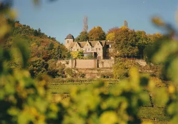 Ruine Kropsburg