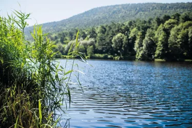 Sandwiesenweiher (© Tourist-Info St. Martin)
