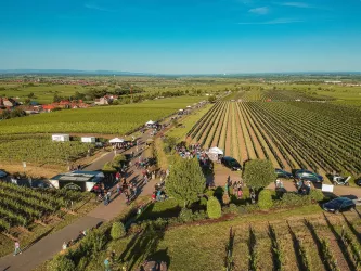 Luftaufnahme WeinWeg (© Thomas Hoecker/ St. Martin)