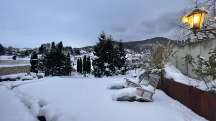 Garten im Winter