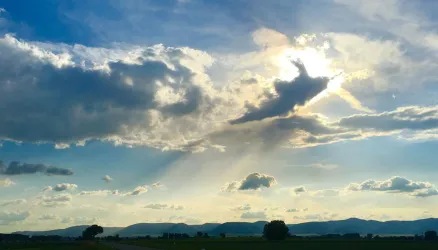 Willkommen in der Pfalz
