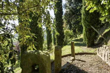 Gartenidylle