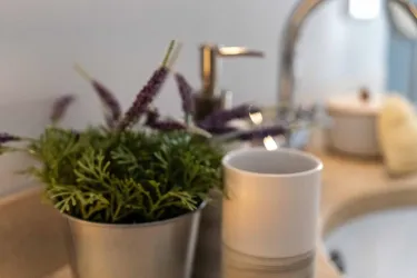 Eine elegante Badezimmeransicht mit einem kleinen Pflanzentopf und einer weißen Tasse. Im Hintergrund sind ein Waschbecken und ein Wasserhahn sichtbar.