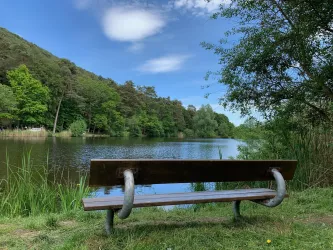 Sitzbank am Landschaftsweiher St. Martin (© Tourist-Info St. Martin)