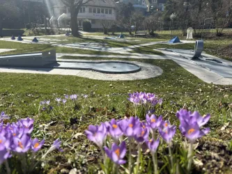 Ein schöner Park mit lila Krokussen im Vordergrund. Im Hintergrund sind geometrische Spielmöglichkeiten auf dem Rasen zu sehen.