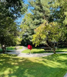 Kropsbachpark Liegebänke (© Ortsgemeinde St. Martin)