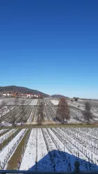 Winter_2021