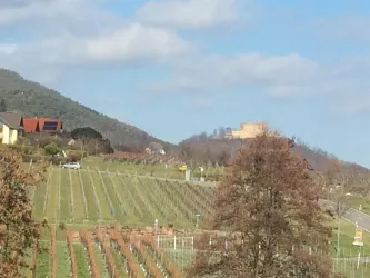AusblickZimmer1HambacherSchlossFrühjahr (© by LHC)