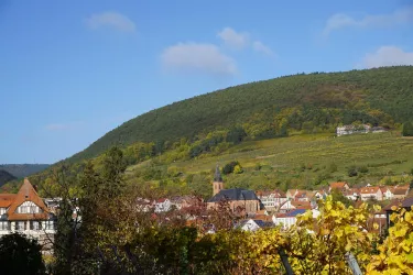 Ausblick_Dorf