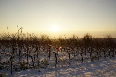 WinterStMartin3
