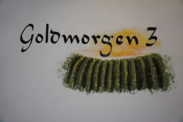 Zi_3_Goldmorgen