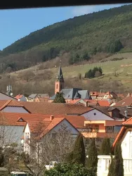 Ausblick_Frühjahr