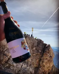 Syrah