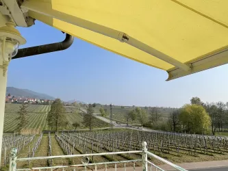 Ausblick_Frühjahr