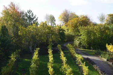 AusblickGartenNovember (© by LHC)