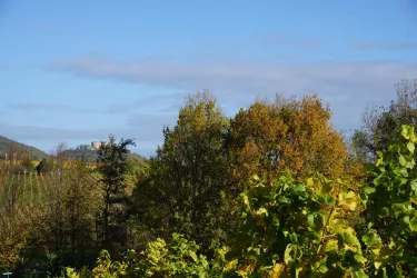 Ausblick