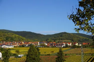 AussichtNov2017 (© by LHC)