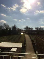 AusblickSüdbalkonGartenApp2 (© by LHC)